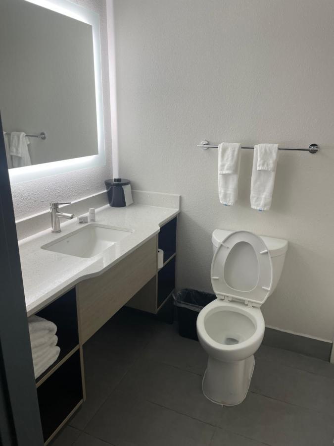 Wingate By Wyndham Savannah Gateway Hotel